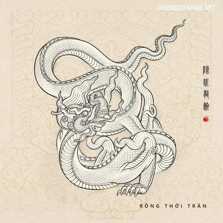Vietnamese dragon tattoo inspired by Tran dynasty style, featuring strong curves and warrior symbolism