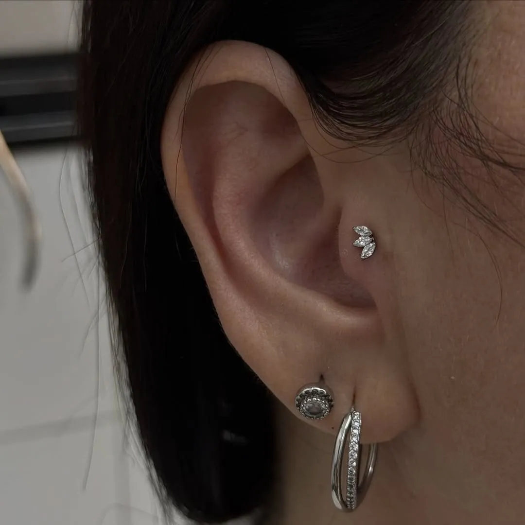 Xỏ Khuyên Tragus: Tất Tần Tật Từ A-Z Cho Người Mới Bắt Đầu