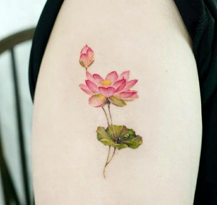 h&igrave;nh xăm hoa sen