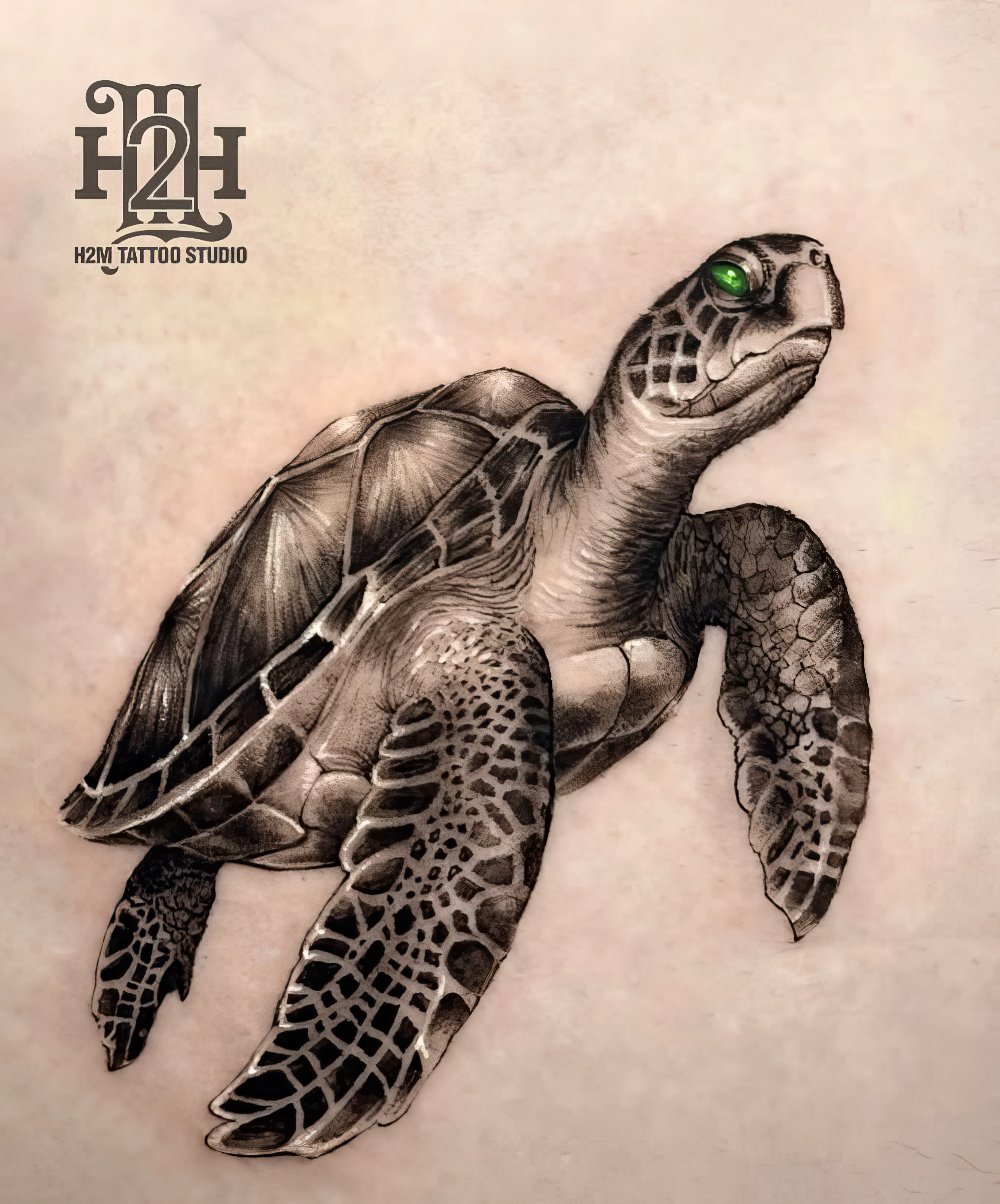 ý nghĩa biểu tượng hình ảnh việt nam