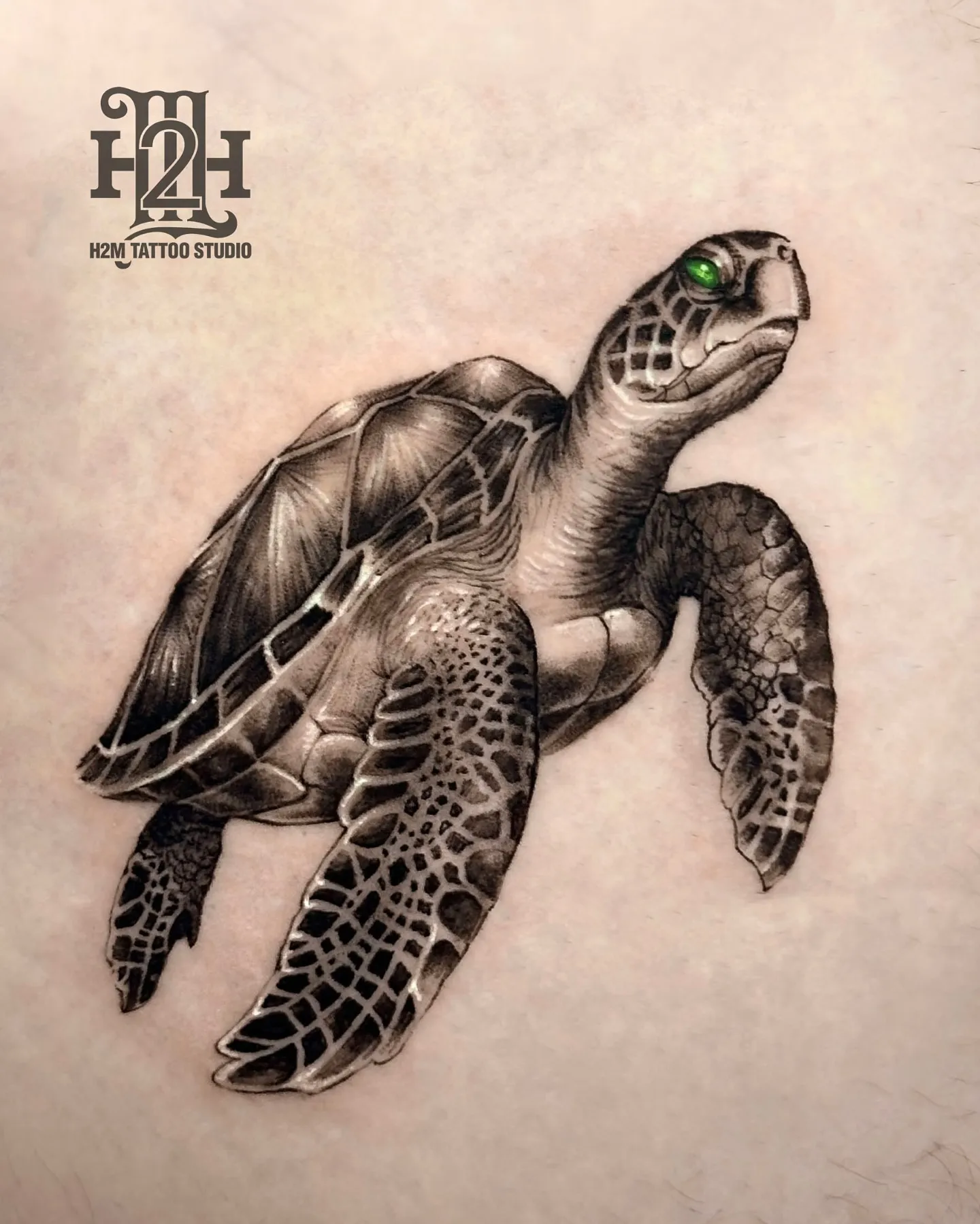 Top 50+ Vietnamese Turtle Tattoo Designs & Their Meanings