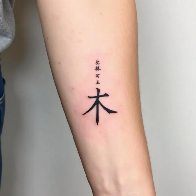 Discover beautiful and meaningful Chinese character tattoo patterns