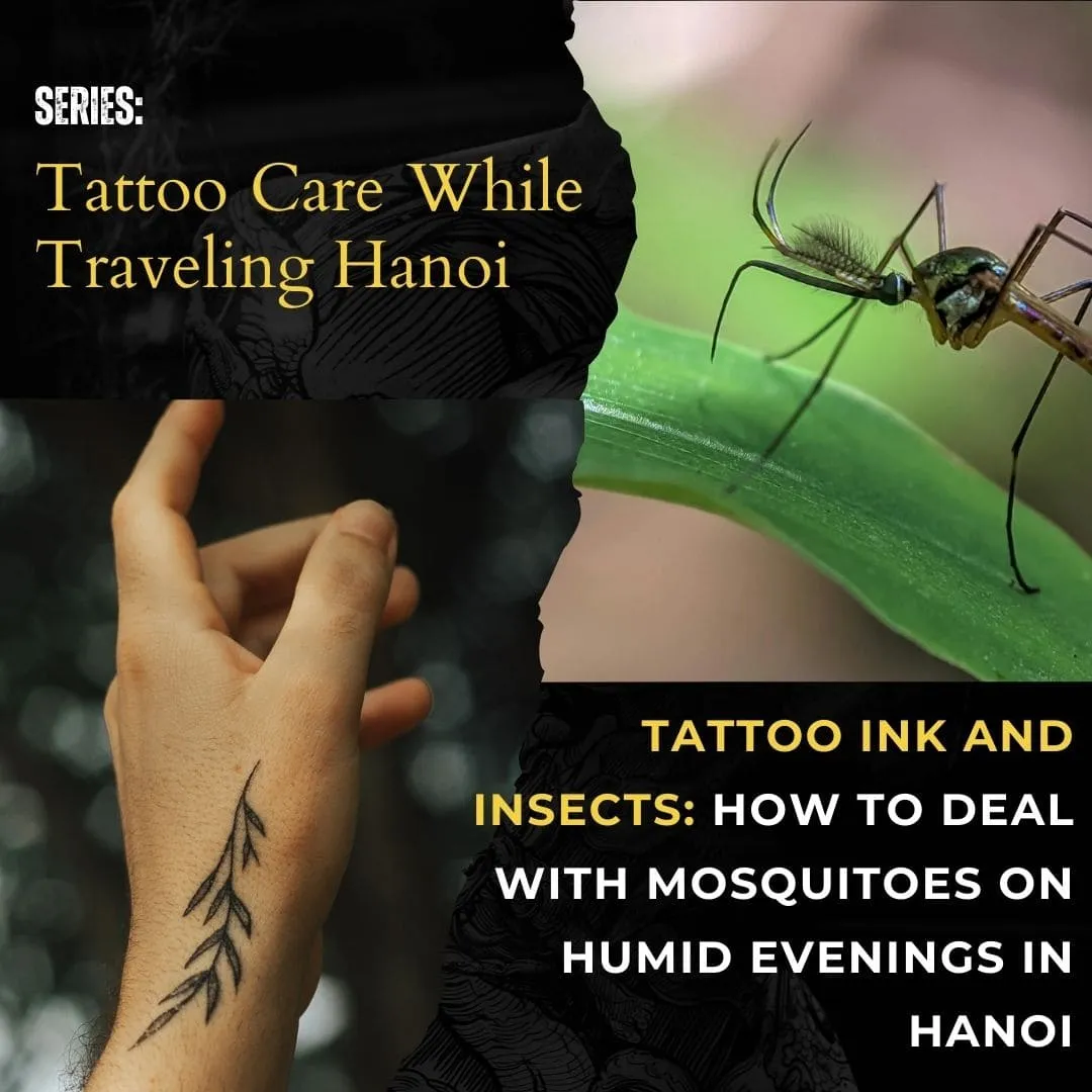 Tattoo Ink and Insects: How to Deal with Mosquitoes on Humid Evenings in Hanoi