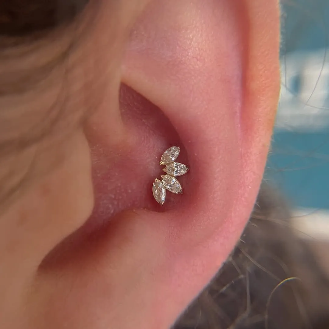 Conch Piercing: A Statement of Style and Artistry at the Heart of the Ear