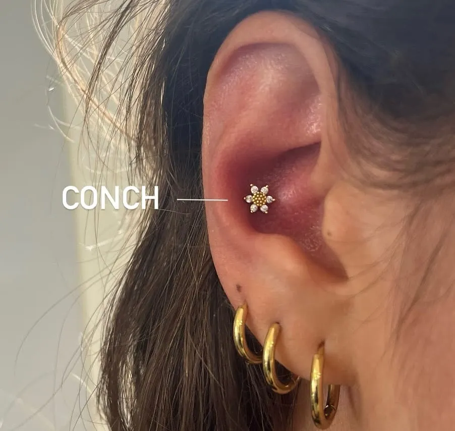 Conch Piercing: A Statement of Style and Artistry at the Heart of the Ear