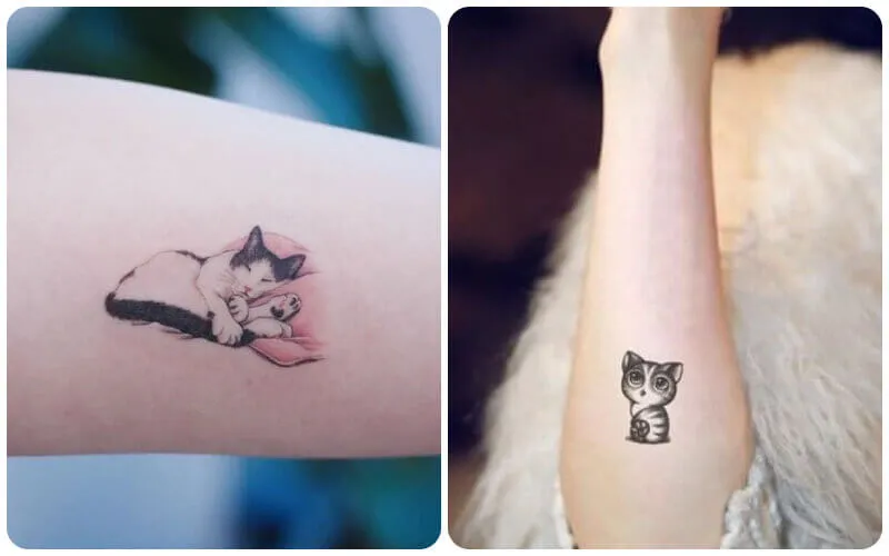 Top 15+ Cute and Meaningful Cat Tattoos for 2026