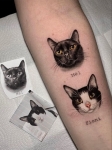 Pet tattoo
