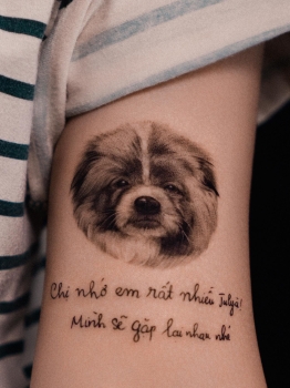 Pet tattoo