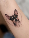 Pet tattoo