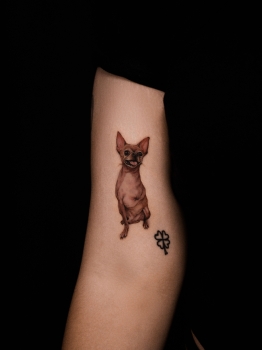 Pet tattoo