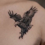 Eagle Tattoos: Symbolizing Strength and Freedom at H2M Tattoo Studio – Top Graphic Tattoo Shop in Hanoi