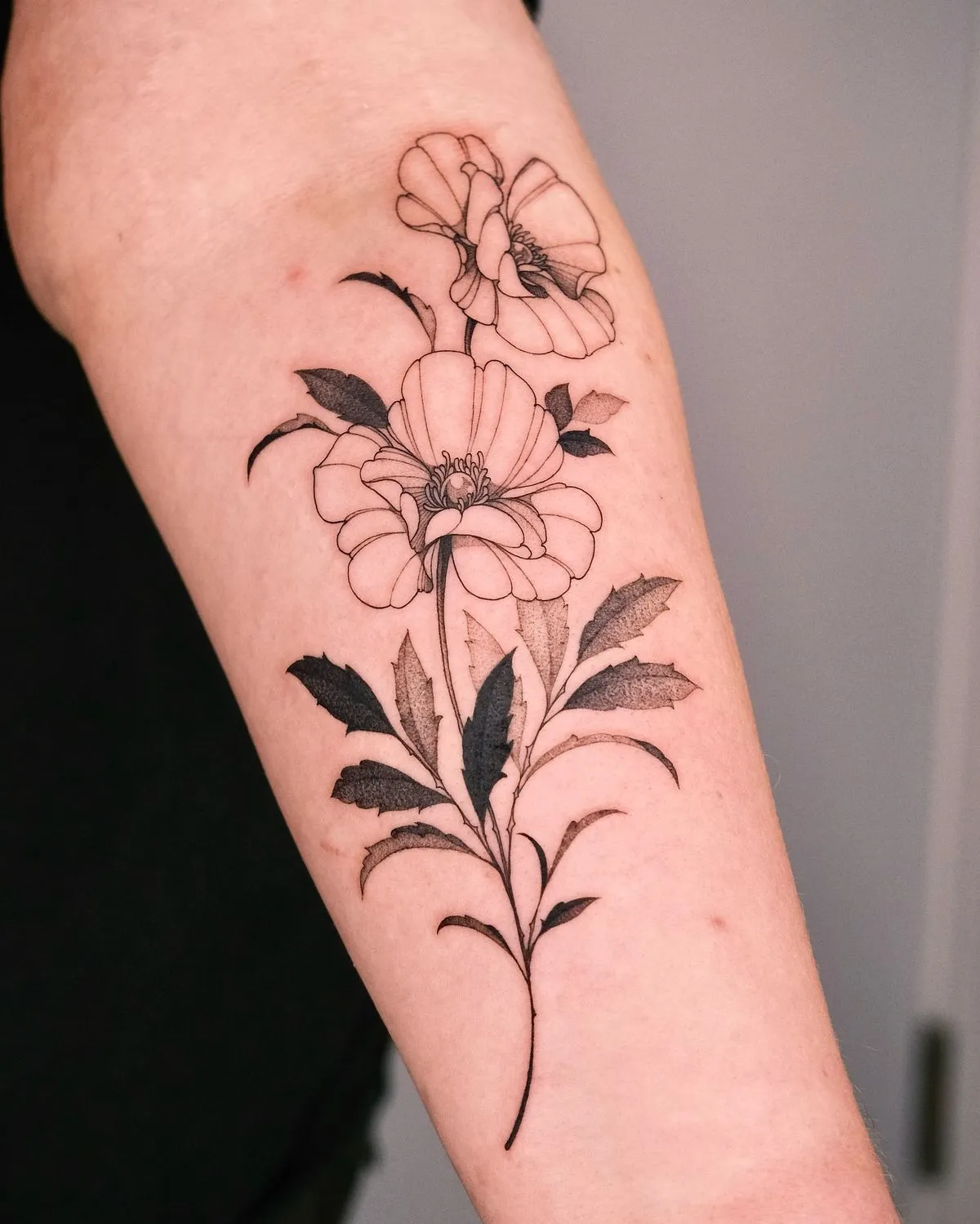 Poppy Flower Tattoo for Men: Meanings, Styles & Placement Guide