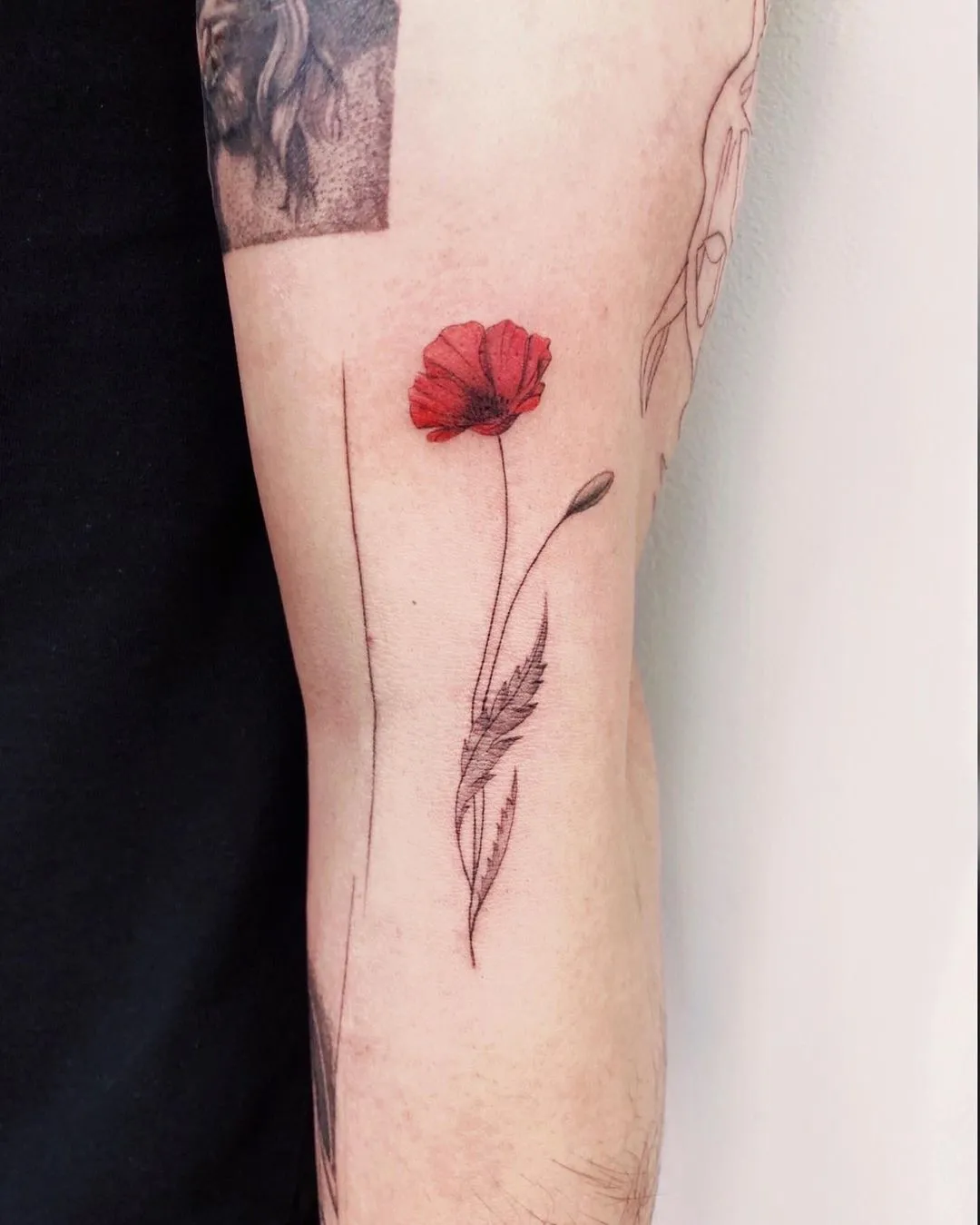 Poppy Flower Tattoo for Men: Meanings, Styles & Placement Guide