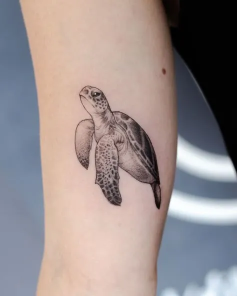 Top 50+ Vietnamese Turtle Tattoo Designs & Their Meanings